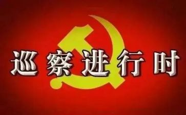 村巡察汇报材料6篇