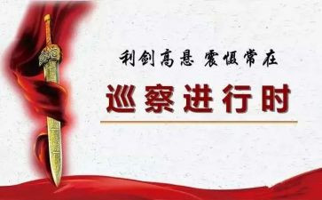村巡察自查报告8篇