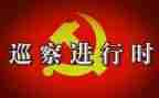 村巡察汇报材料6篇