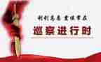 村巡察自查报告8篇