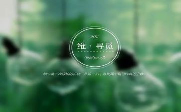寻觅的读后感5篇