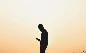 寻找幼儿园的树教案7篇