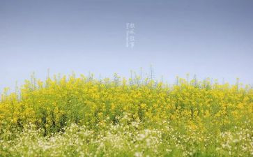 关于写叙事的作文400字6篇