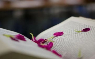 记人叙事类作文最新5篇