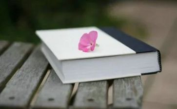 记人叙事类作文8篇