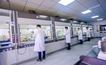 研发人述职报告6篇
