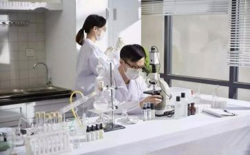 研发员工作总结最新5篇