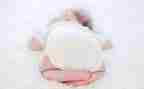 小班虎宝宝教案8篇