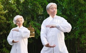 养老科工作总结通用7篇