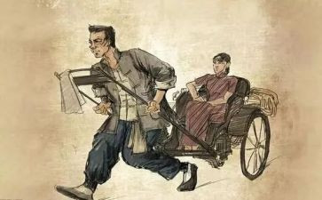 《骆驼样子》读后感5篇