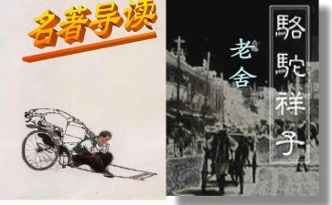 骆驼的样子读后感800字6篇