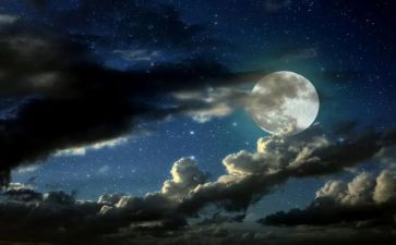 一千o一夜读后感参考6篇