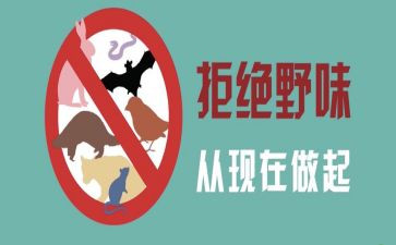 演讲拒绝野味的演讲稿优秀8篇