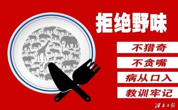演讲拒绝野味的演讲稿8篇