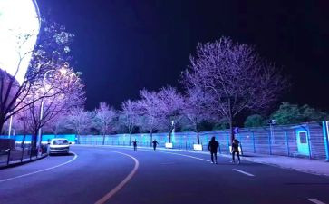 华夜行读后感6篇