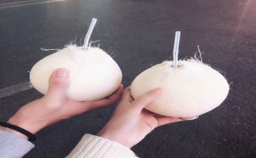 椰子的作文5篇
