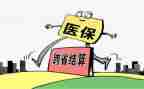 2024年医保年度总结优质5篇