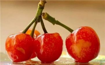 樱桃沟的春天读后感6篇