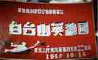 《小英雄》读后感通用6篇