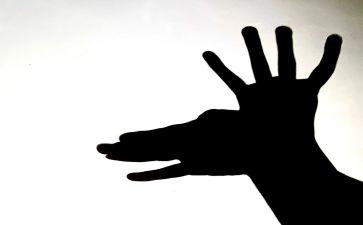 影子的幼儿园教案推荐7篇