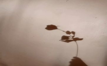 幼儿园中班影子歌教案6篇