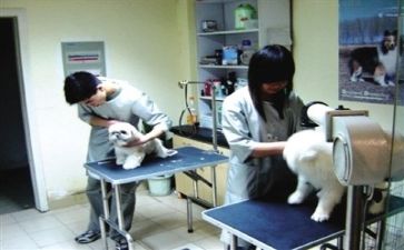 个人医院年度工作报告6篇