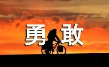 勇敢的猫作文最新7篇