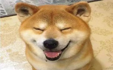 四年级有趣的事作文300字7篇