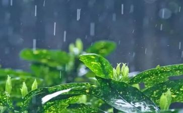 《雷雨》读后感优质6篇