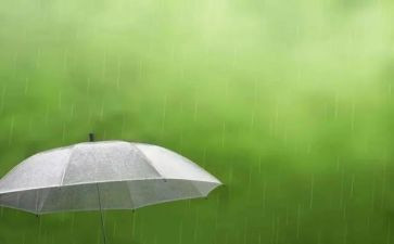 梅子雨读后感5篇