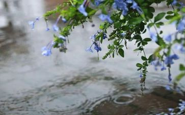 今秋雨作文优质7篇