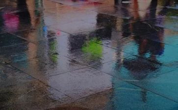关于雨的调查报告优秀6篇
