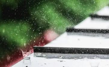 黑雨读后感1200字优质5篇