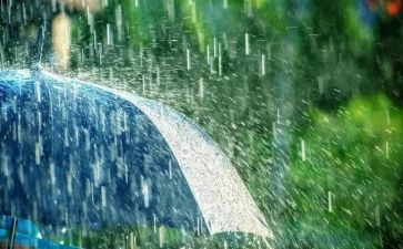 下雨啦中班语言教案5篇