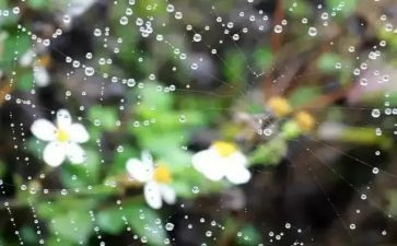 雨读后感600字优秀6篇