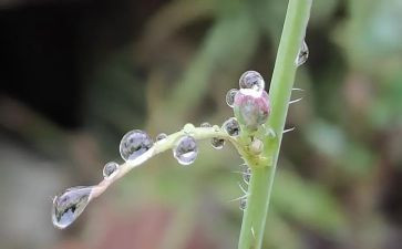 关于雨的调查报告精选8篇