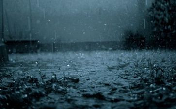 管雷雨读后感精选5篇