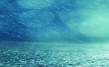 雨天的读后感6篇