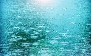 观雨读后感200字7篇