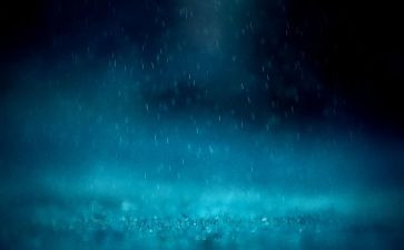 沈从文雨读后感8篇