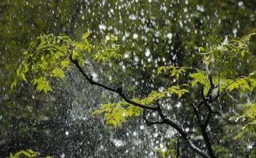 下暴雨作文参考7篇