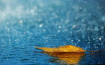 幼儿园大班雨姑娘教案7篇