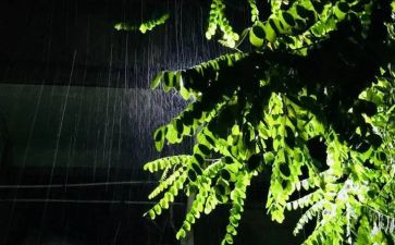 秋雨作文600字5篇
