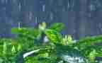 读英雄雨来读后感参考5篇