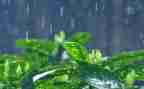 读《雷雨》读后感通用8篇