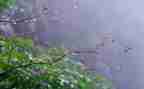 小英雄雨来优秀读后感7篇