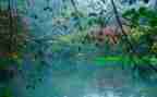关于秋雨的作文500字6篇
