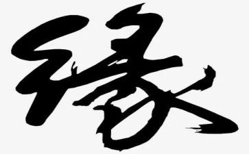 梅花缘读后感6篇