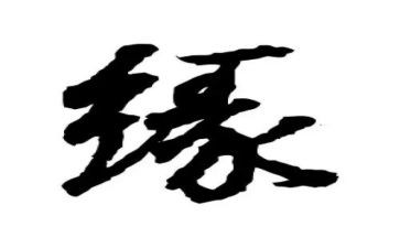 质量安全缘演讲稿8篇