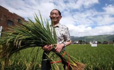 袁隆平的事迹模板7篇